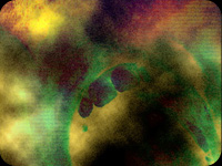 Toxytrance